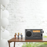 Sangean SG-106 Portable AM/FM Rechargeable Compact Digital Tuning Radio