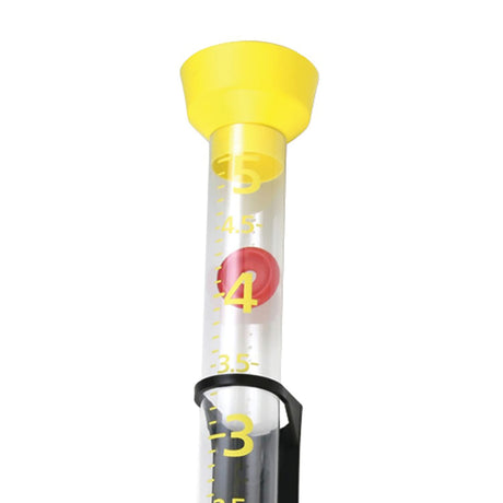 Taylor Precision Products Jumbo Junior Rain Gauge