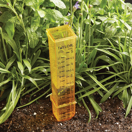 Taylor Precision Products 2-in-1 Rain and Sprinkler Gauge