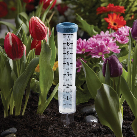 Taylor Precision Products 7-In. Capacity Silicone Rain Gauge