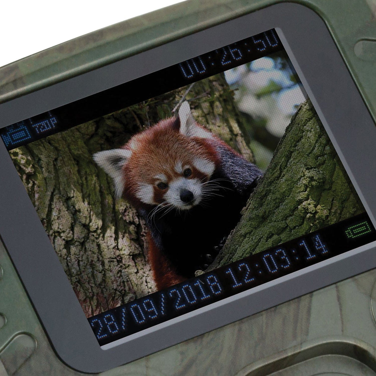 Technaxx TX-117 1080p Full HD Battery-Operated Security and Mini Nature Wild Cam, Camouflage