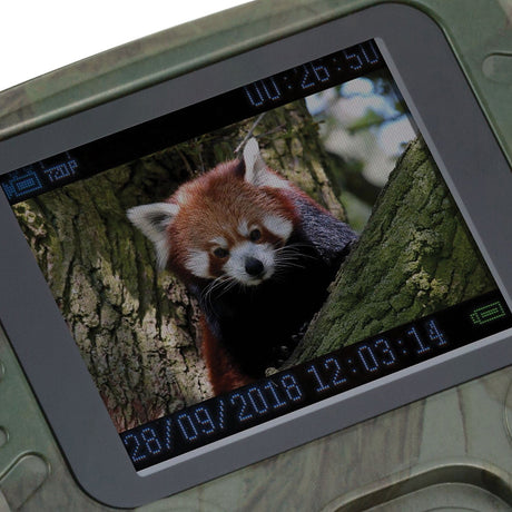 Technaxx TX-117 1080p Full HD Battery-Operated Security and Mini Nature Wild Cam, Camouflage