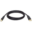 Tripp Lite by Eaton USB 2.0 Peripheral Cable, A Male/B-Male Gold-Plated Connectors, Black, 10 Ft.