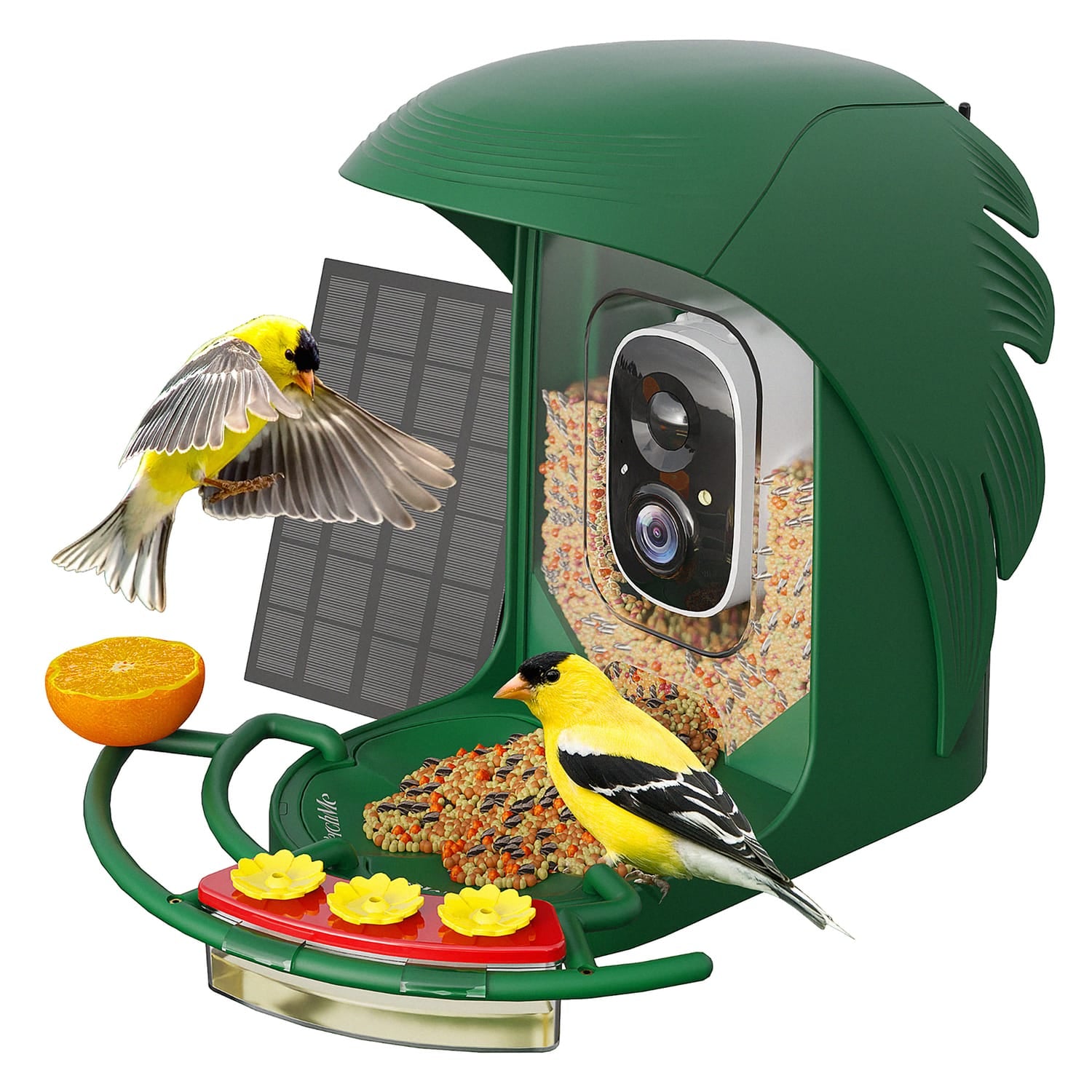 PerchMe AI-Recognition Smart Bird Feeder with Camera, Solar Powered, Forest Green