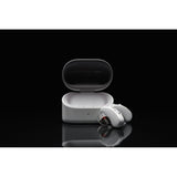 Zepp Clarity Omni Hearing Aids, Gray