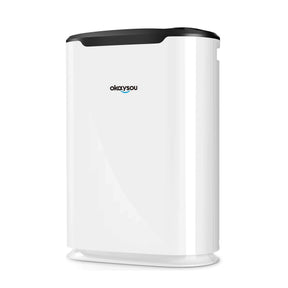 Okaysou AirMax8L 5-in-1 True HEPA Double Filtration System Large Room Air Purifier, White