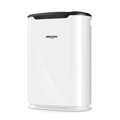 Okaysou AirMax8L 5-in-1 True HEPA Double Filtration System Large Room Air Purifier, White