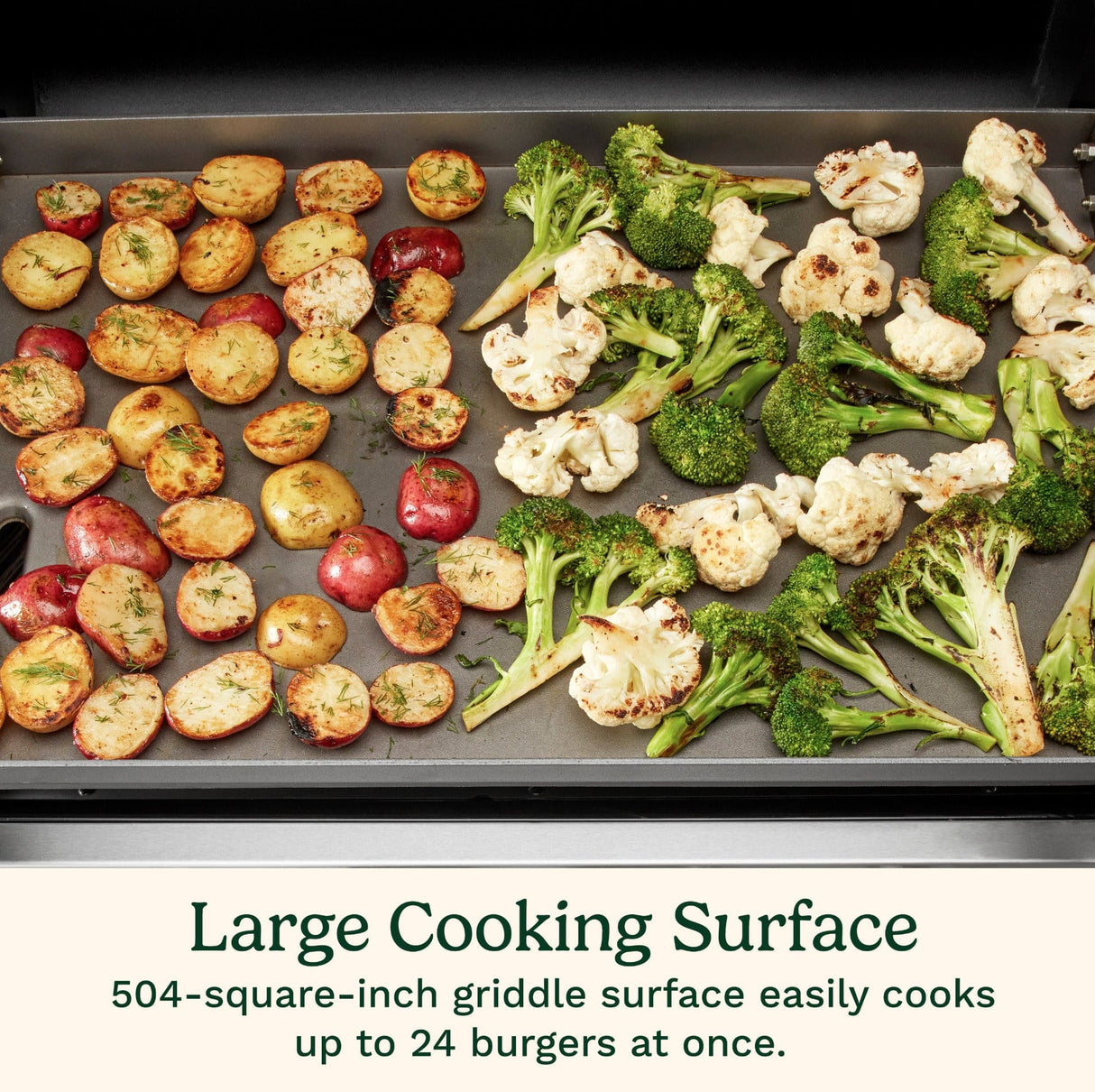 Cuisinart 28" Outdoor Gas Griddler, 2-in-1 Griddle & Broiler, Black Stainless