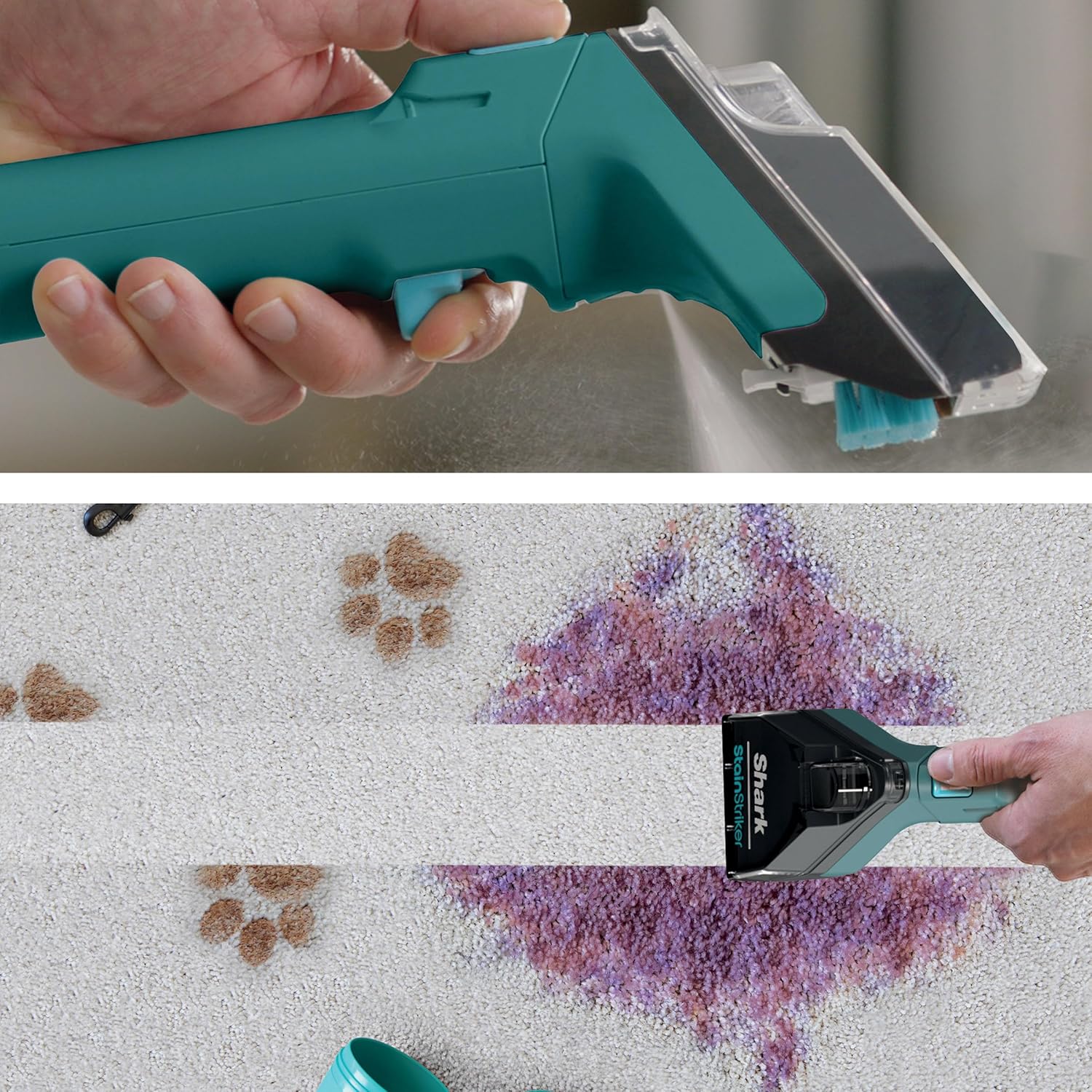 Shark CarpetXpert Carpet Shampooer, Area Rug & Upholstery Cleaner, Teal - Certified Refurbished