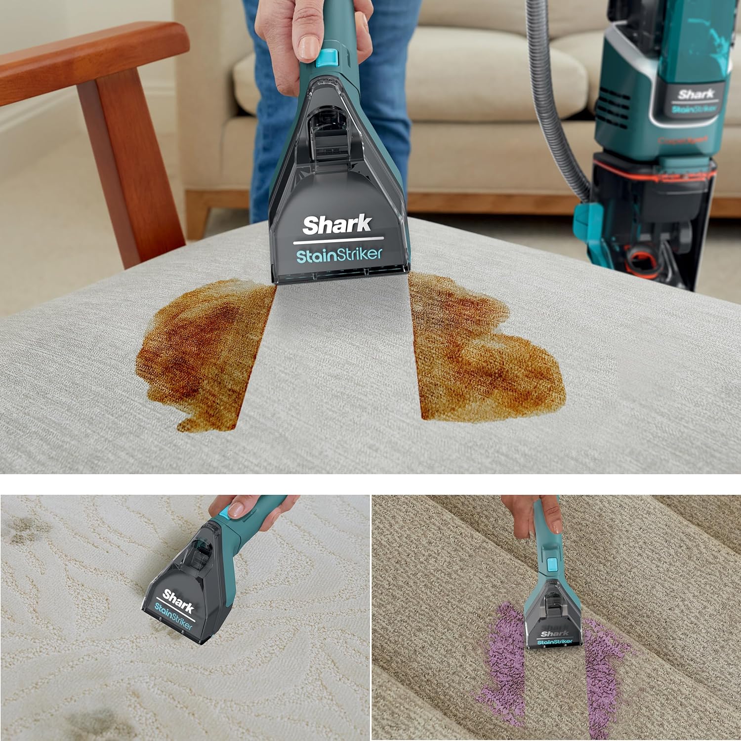 Shark CarpetXpert with Stainstriker Deep Carpet Cleaner, Teal - Certified Refurbished