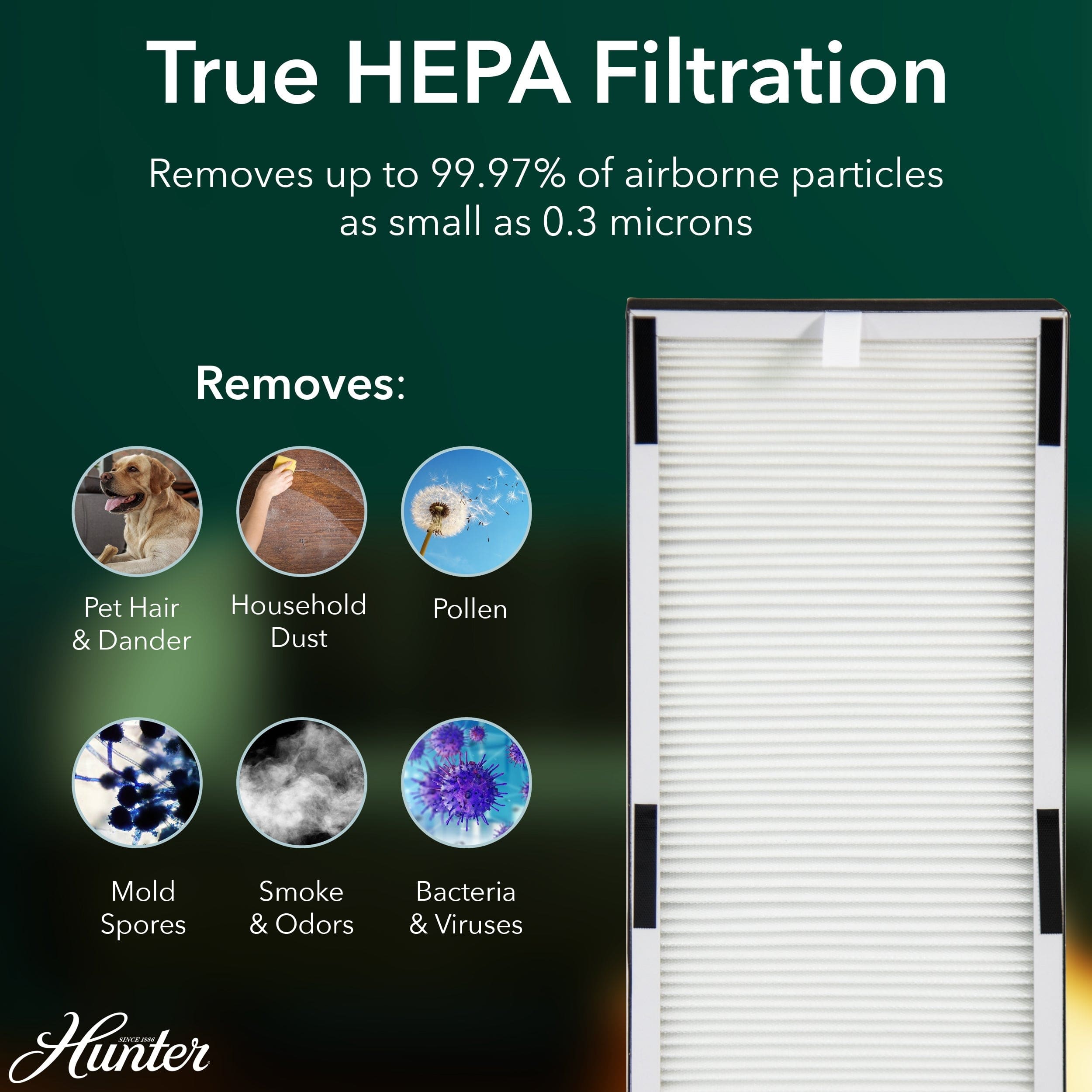 Hunter Tall Tower Air Purifier, 3-Stage True HEPA Filter, Sleep Mode, Timer, Quiet Operation, HP600