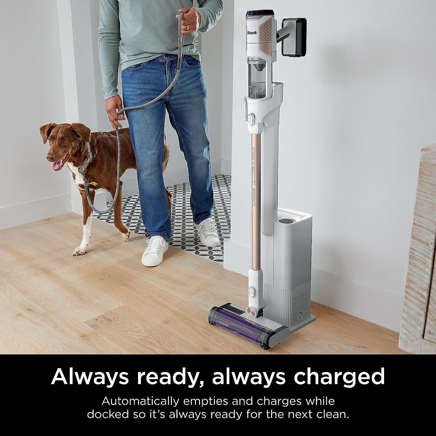 Shark Detect Pro Auto-Empty System, Cordless Vacuum, White/Beats Brass - Open Box