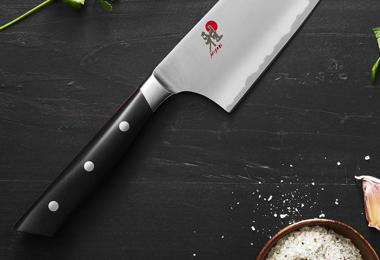 Miyabi Evolution 9.5-inch Slicing Knife