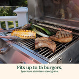 Cuisinart Chef's Style Stainless Steel Tabletop Portable Gas Grill