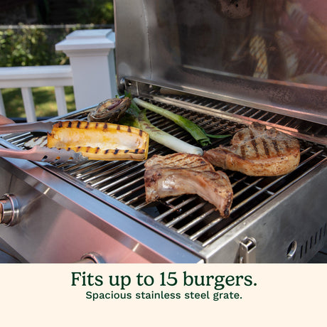 Cuisinart Chef's Style Stainless Steel Tabletop Portable Gas Grill
