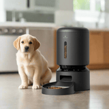 Petlibro Automatic Single Tray Smart Pet Feeder with Video Camera, Night Vision, Motion & Sound Alerts, Black - Certified Refurbished