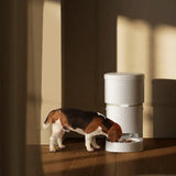 PETLIBRO Space Automatic Pet Feeder, White - Certified Refurbished