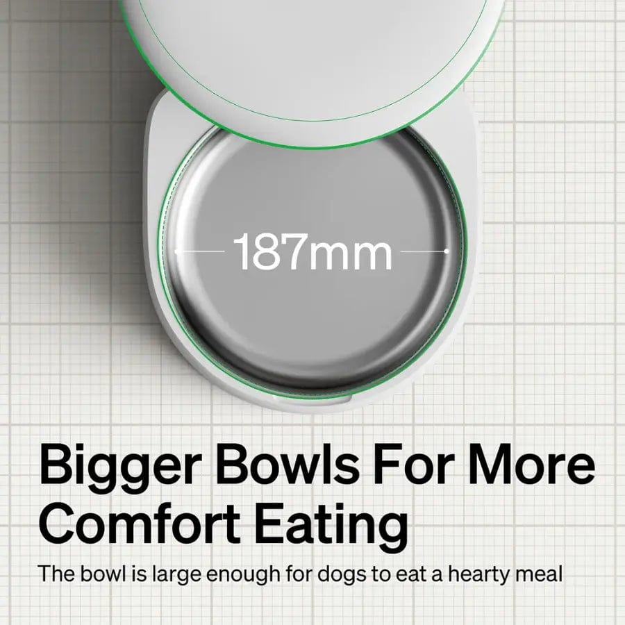 PETLIBRO Space Automatic Pet Feeder, White - Certified Refurbished