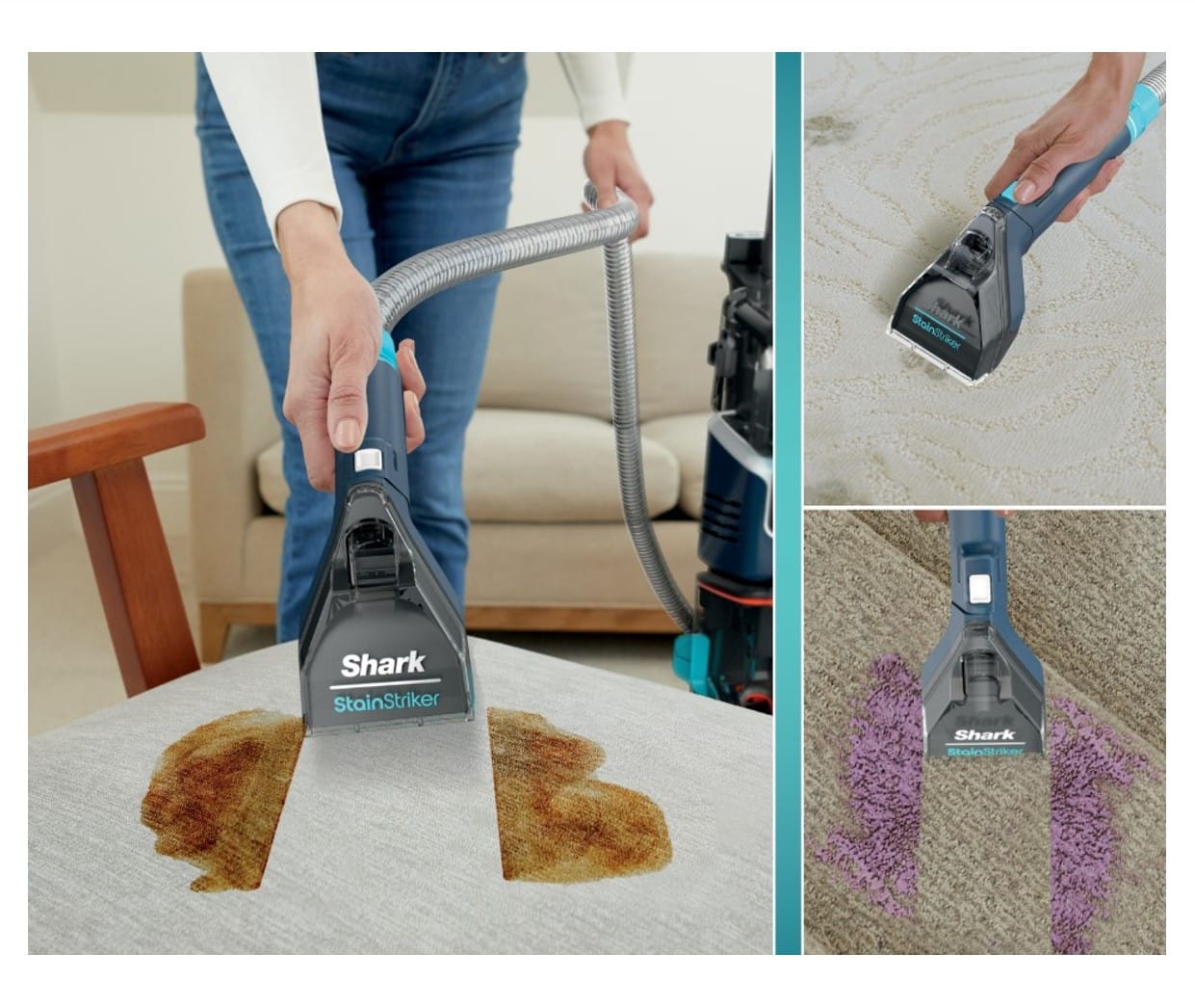 Shark CarpetXpert with Stain Striker, Upright Carpet Upholstery Cleaner Carpet Shampooer, Navy - Open Box