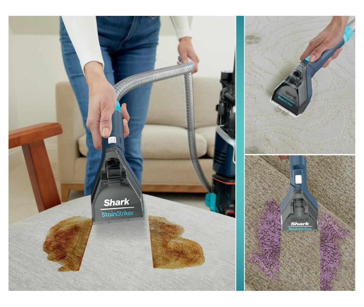 Shark CarpetXpert with Stain Striker, Upright Carpet Upholstery Cleaner Carpet Shampooer, Navy - Open Box