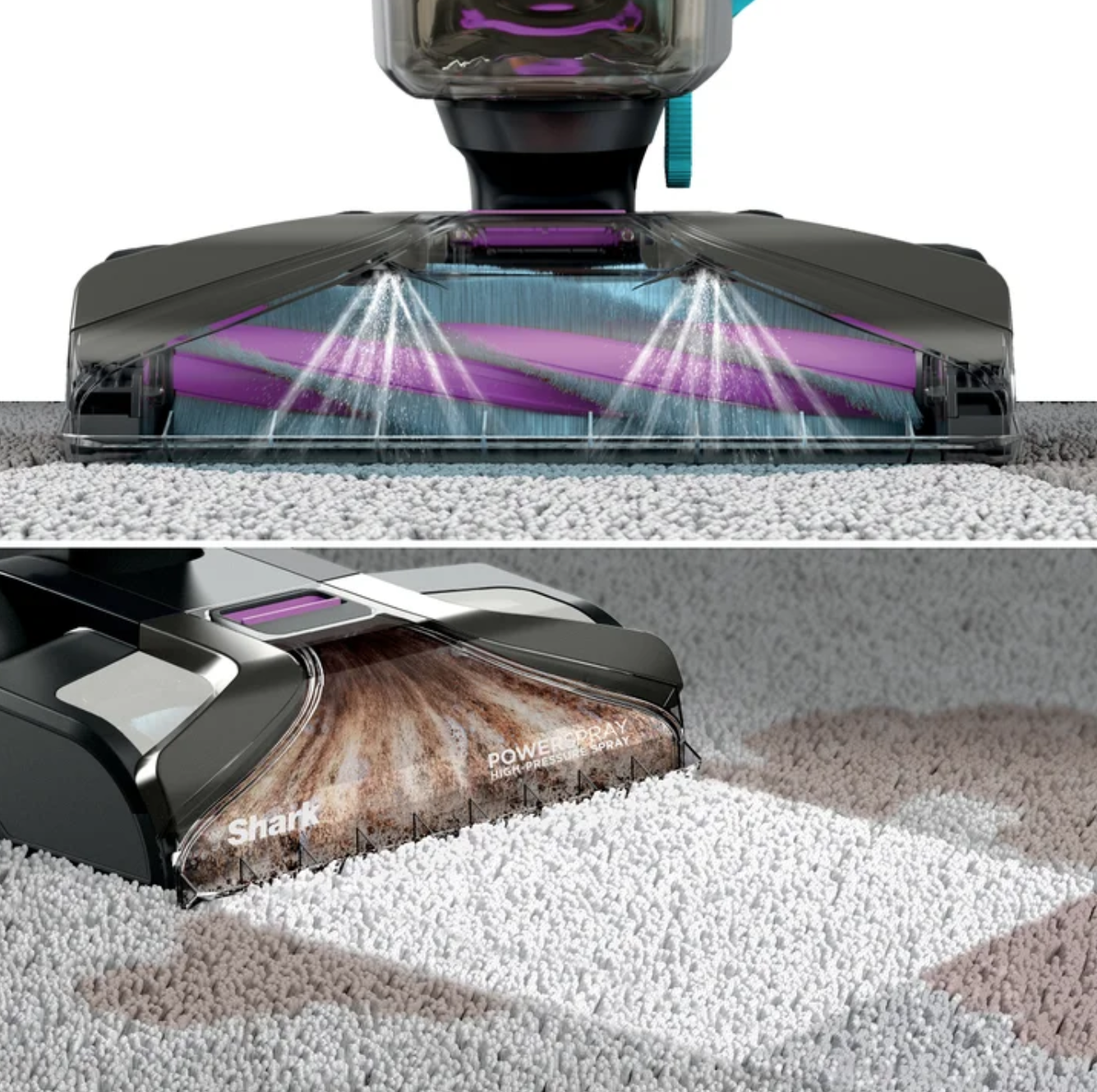 Shark CarpetXpert Carpet & Upholstery Cleaner with Stainstriker - Certified Refurbished