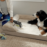 Shark CarpetXpert Carpet & Upholstery Cleaner with Stainstriker - Certified Refurbished