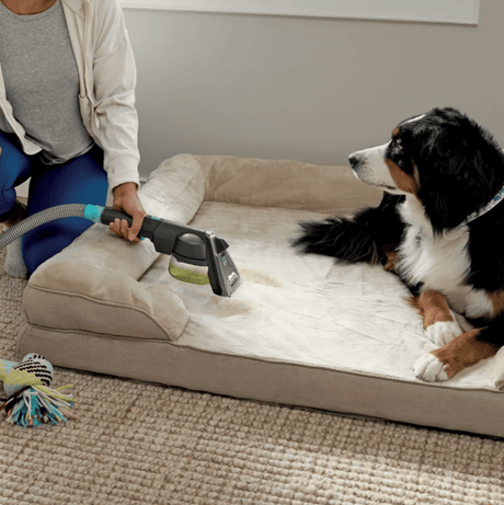 Shark CarpetXpert Carpet & Upholstery Cleaner with Stainstriker - Certified Refurbished