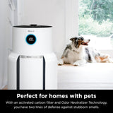 Shark NeverChange Air Purifier MAX, 1400 sq.ft., 5-Year Filter Life, Odor Neutralizer, White - Certified Refurbished