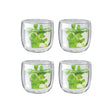 Zwilling Sorrento 4-pc Double-Wall Glass Tea Cup Set